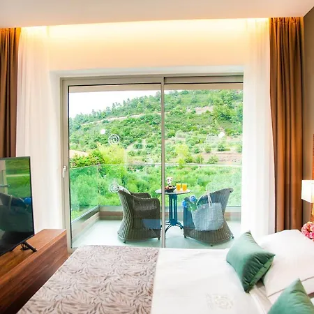 Acrotel Athena Pallas 5* Elia Nikitis